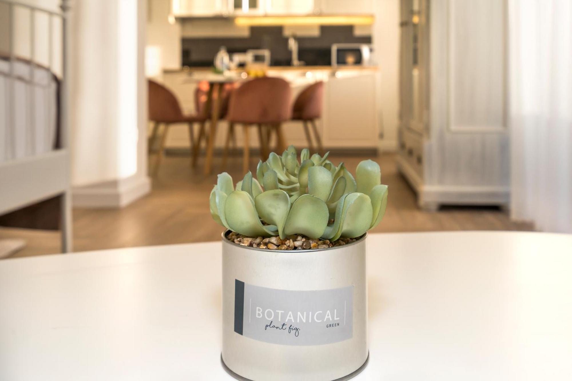 Studio Apartments Marcel سبليت المظهر الخارجي الصورة